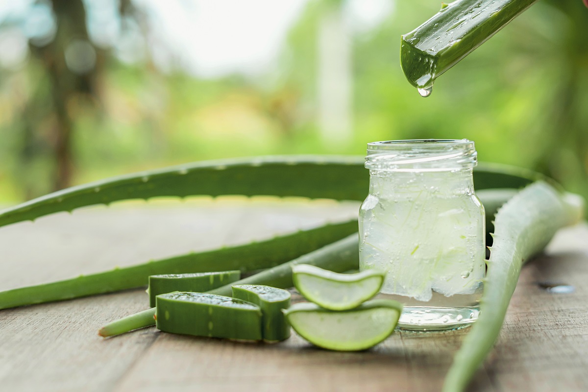 Usos del aloe vera para la belleza