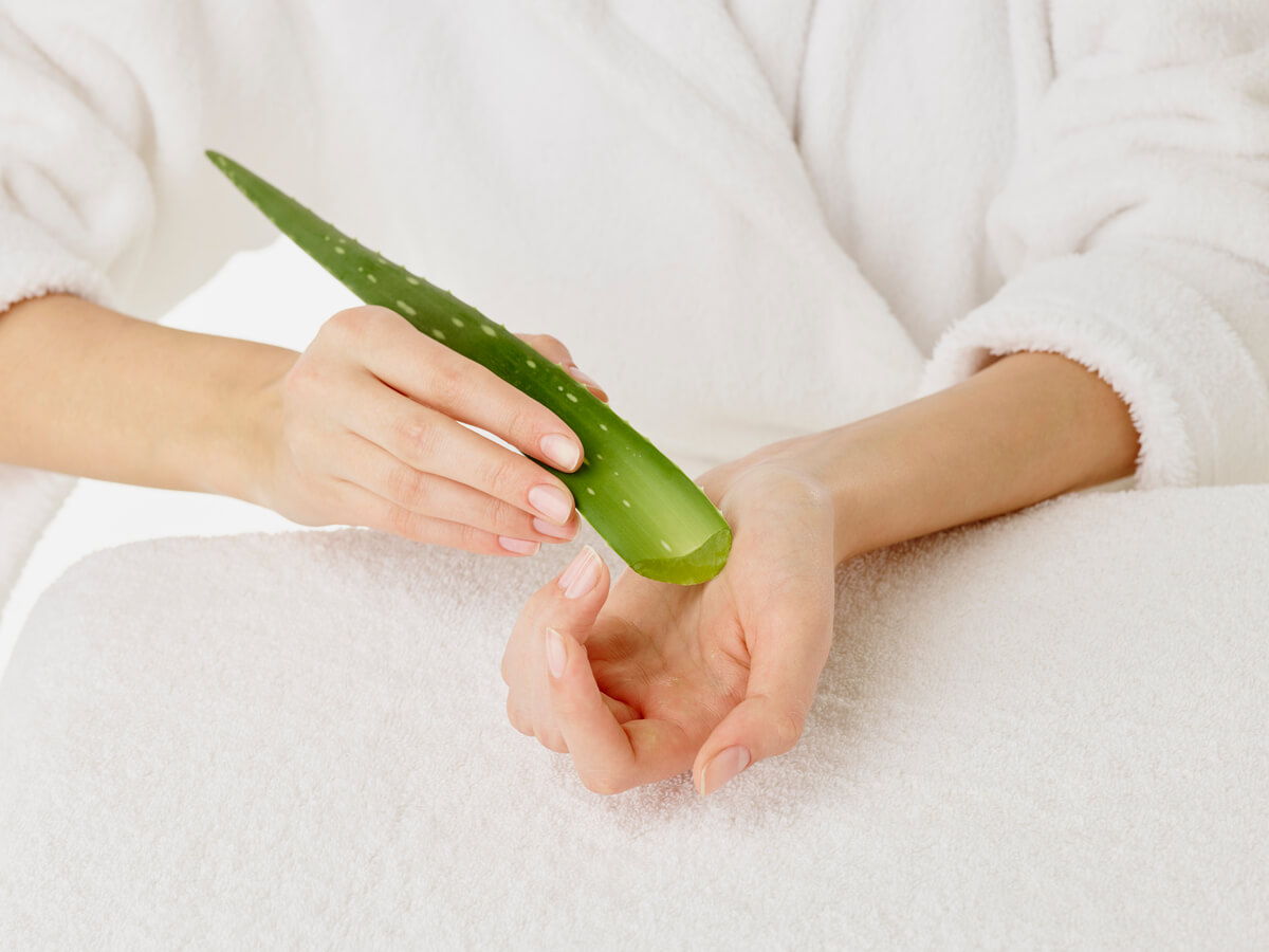 Usos y beneficios del aloe vera en cosmética natural